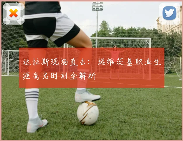 达拉斯现场直击:诺维茨基职业生涯高光时刻全解析